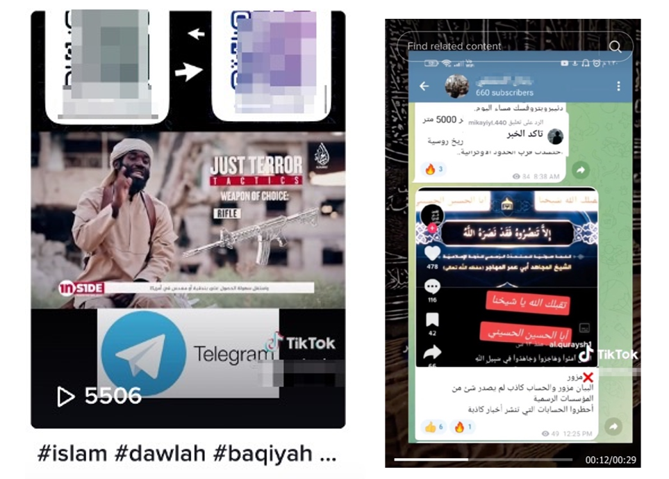 Figure 4: Two videos posted by users in the network signpost to Telegram channels