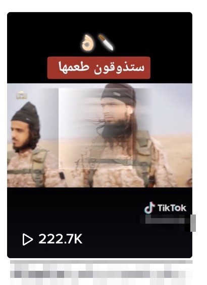 Figure 1: An Islamic State support video featuring scenes from an execution insinuates that users 'will taste it'